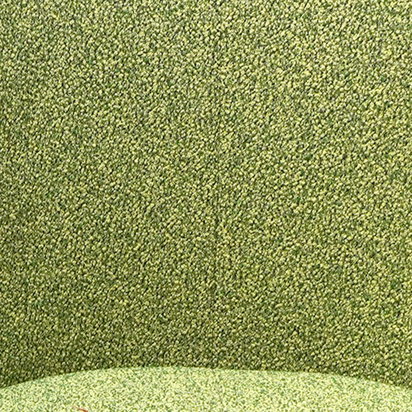 Courbe Arm Chair