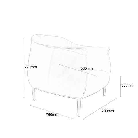 Délicat Arm Chair