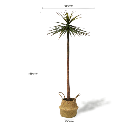 Faux Palm Tree