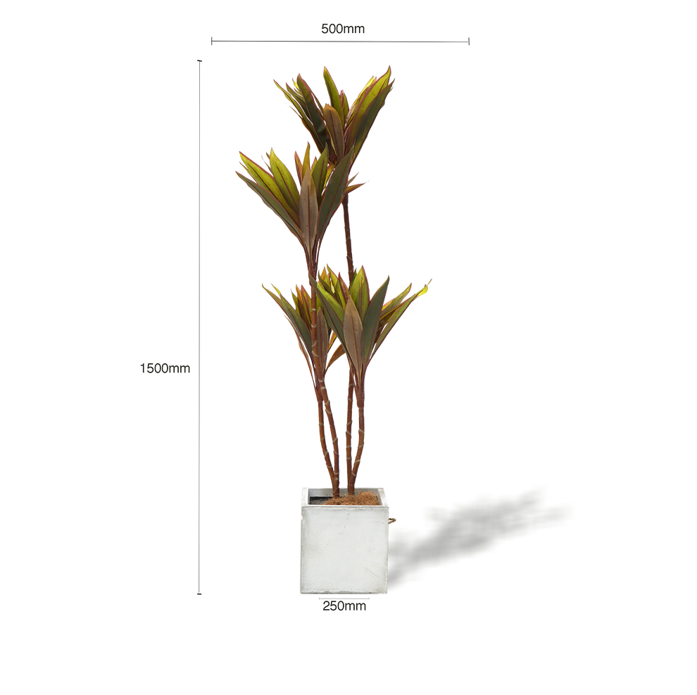 Faux Cordyline fruticosa Tree Emera furniture