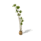Faux Large Dracaena Tree