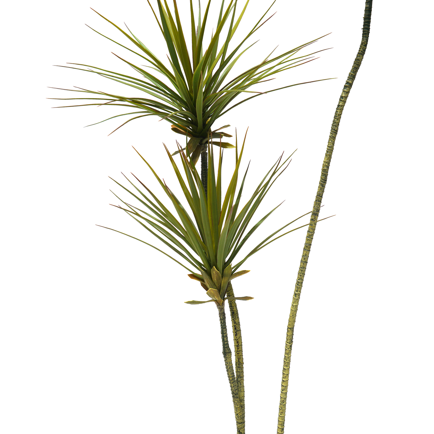 Faux Yucca Tree