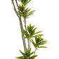 Faux Large Dracaena Tree