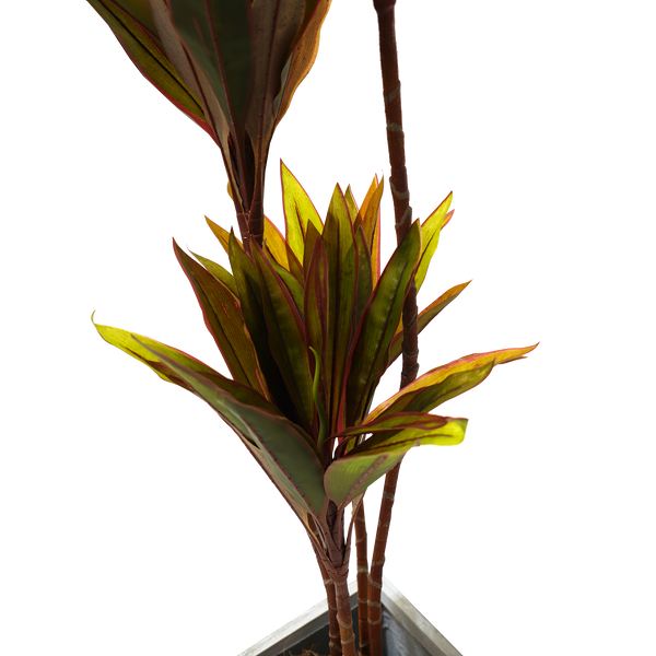 Faux Cordyline fruticosa Tree Emera furniture