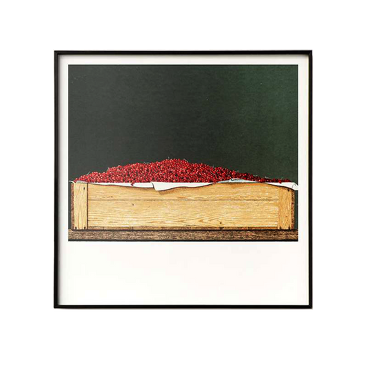 “Red Currants" Painting