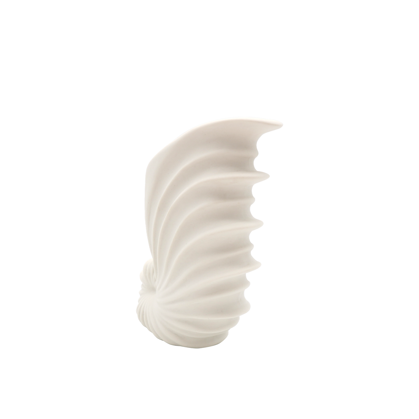 Shell White Ceramic Vase