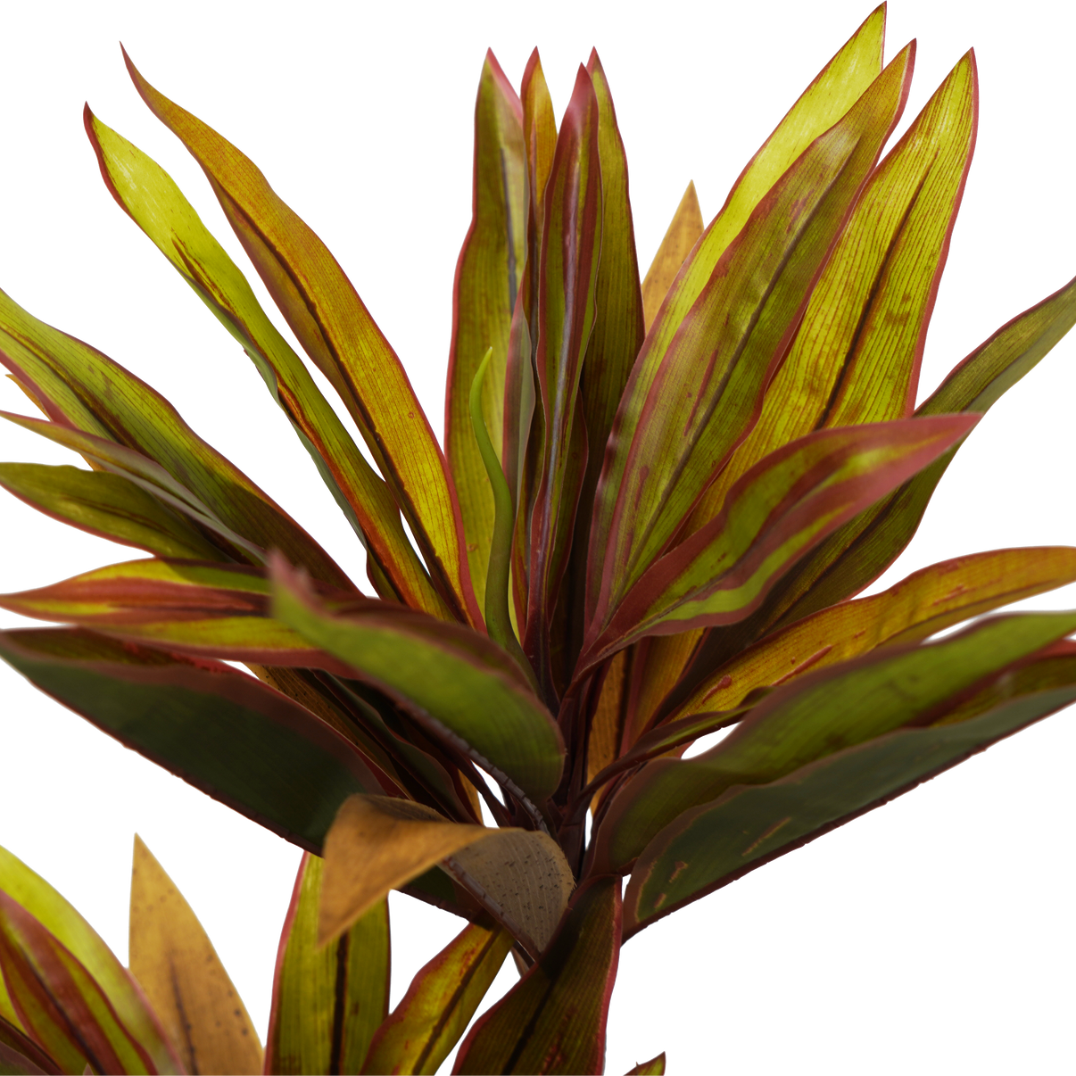 Faux Cordyline fruticosa Tree Emera furniture