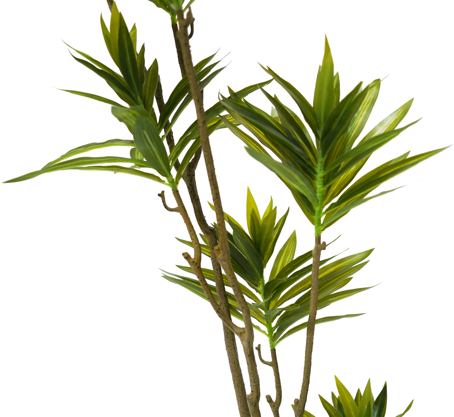 Faux Small Dracaena Tree