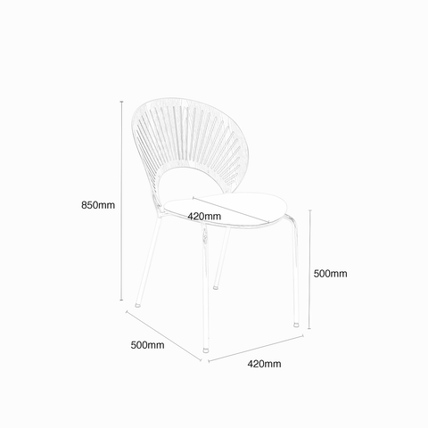 Cesira Shell Dining Chair