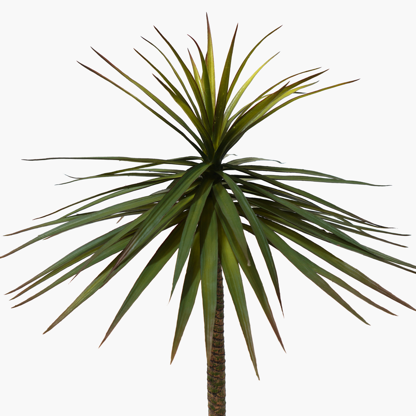 Faux Palm Tree